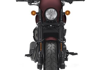 Harley-Davidson Street Rod 2018 - Bild 14